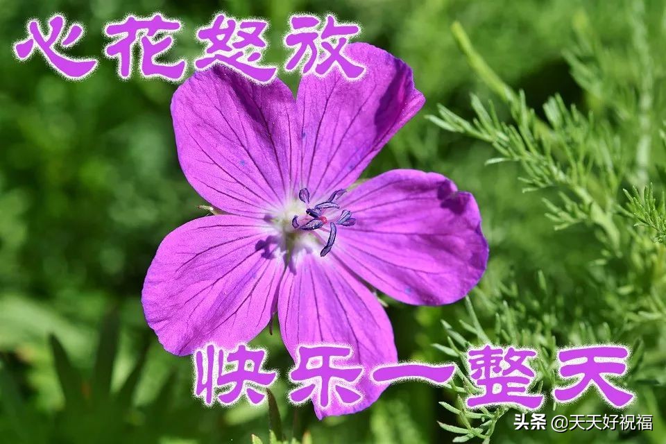 2019最新版的早上好祝福短句 愿你开心每一天