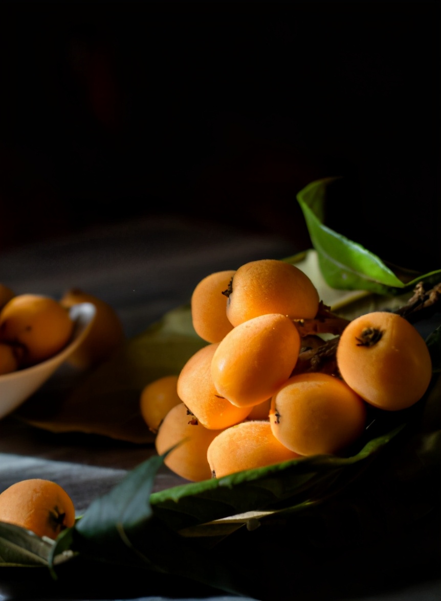 五月枇杷黄似橘，古诗词里的枇杷，这12首古诗你都知道吗？