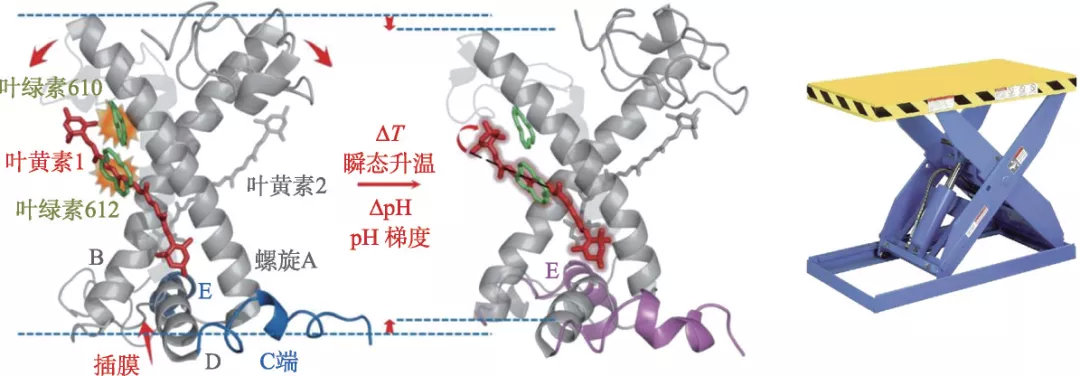 一篇论文背后的故事