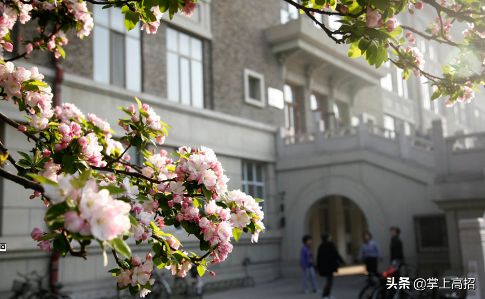 高考报考｜解说国内大学的“江湖称号”（二）