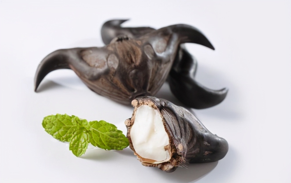 撒谎和吹牛，也要有逻辑——小古文《北人食菱》导读