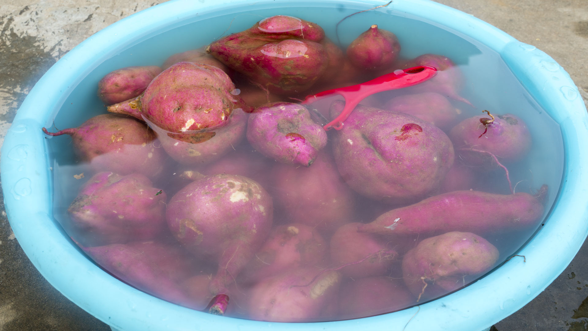 分享6款好吃小零嘴，自己在家就能做，简单易学还好吃，营养解馋