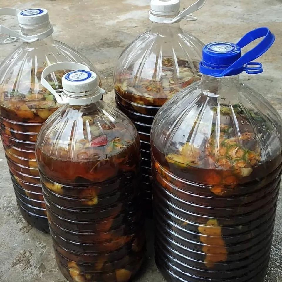烂菜烂水果制作有机肥的方法（手把手教你制作有机肥）