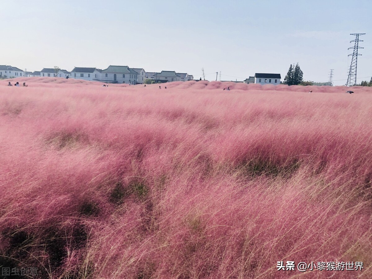 来看看，江苏苏州这5个景区，十一（国庆）节是否值得一去？