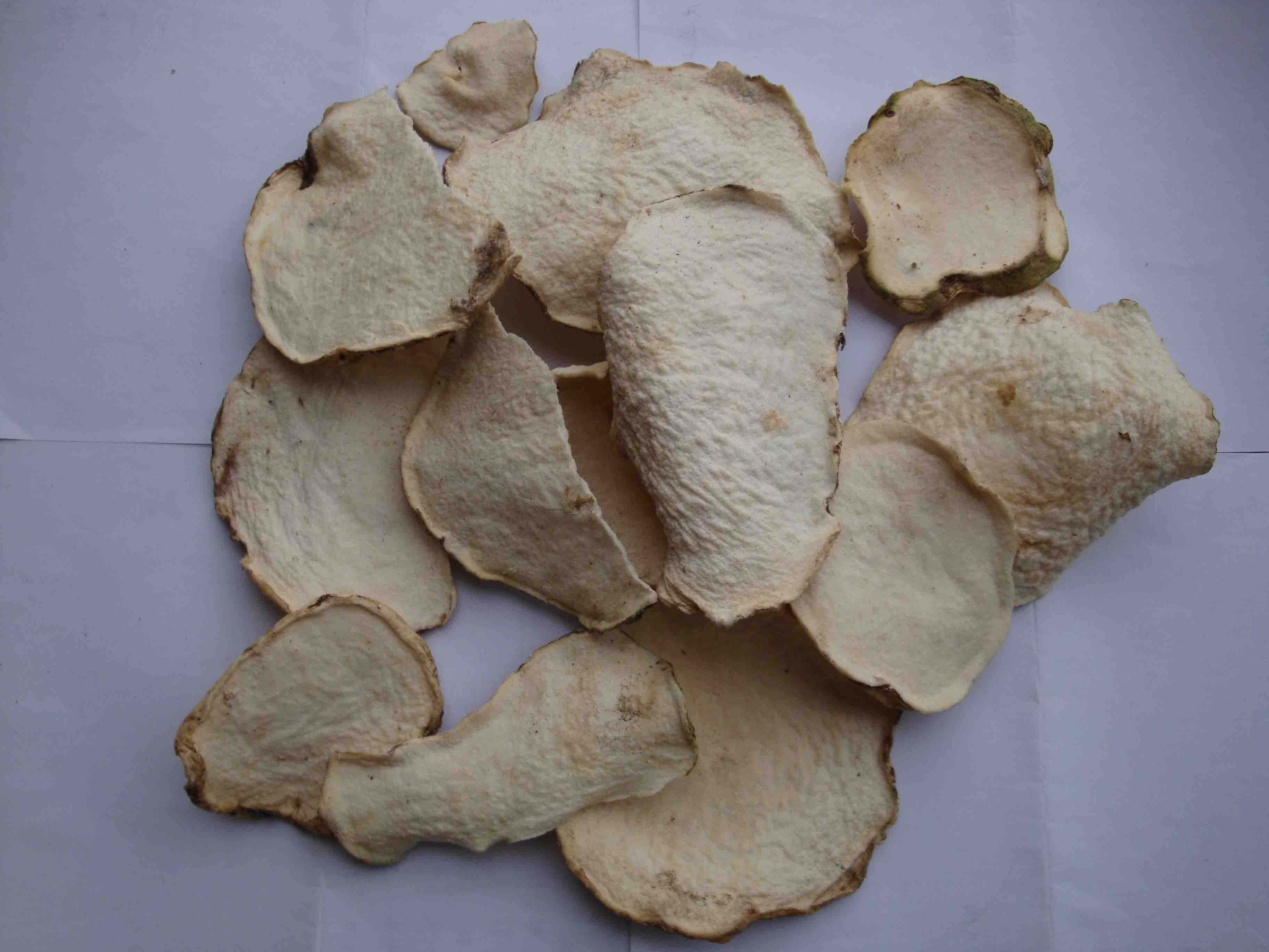 中药材蒟蒻(魔芋)