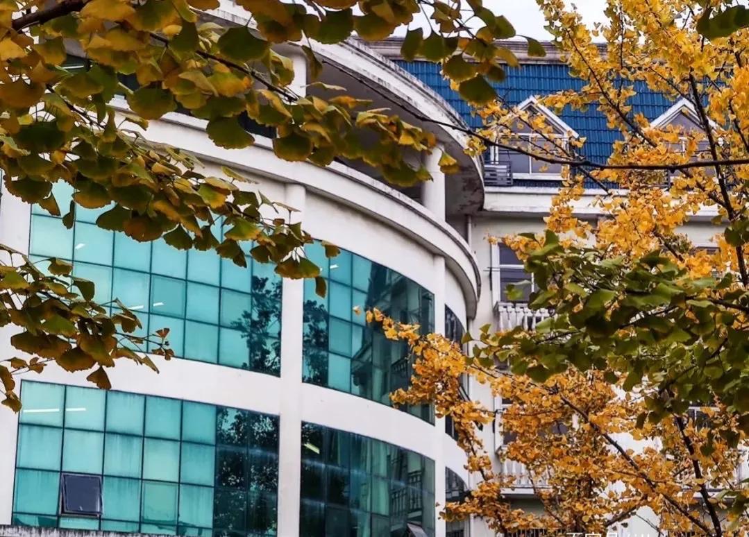 安徽财经大学暂无搬迁到合肥的计划