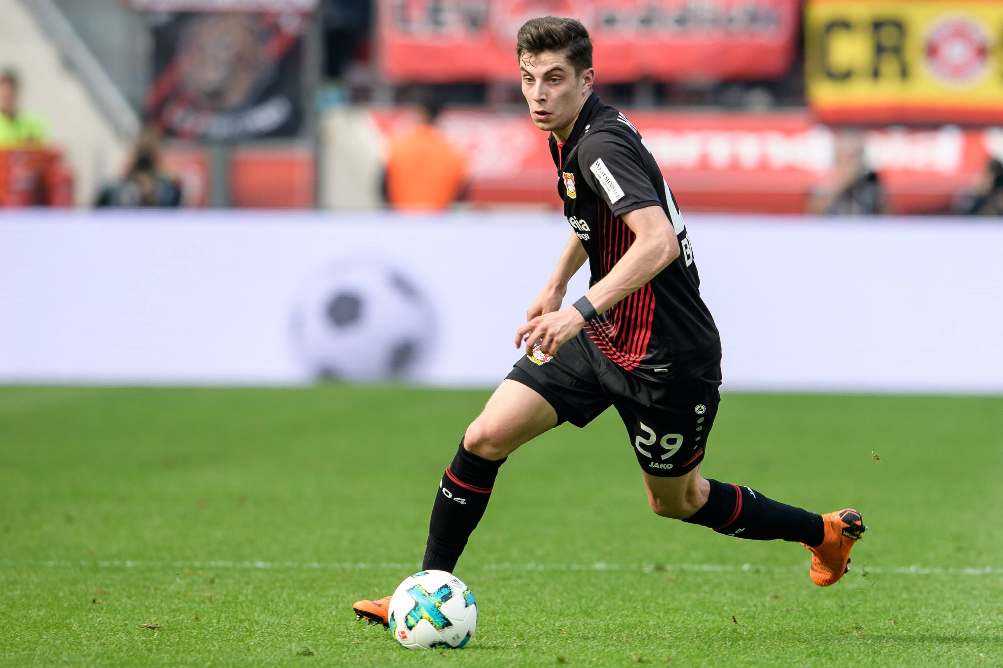 维尔纳哈弗茨入选(年轻的哈弗茨,越过山丘)