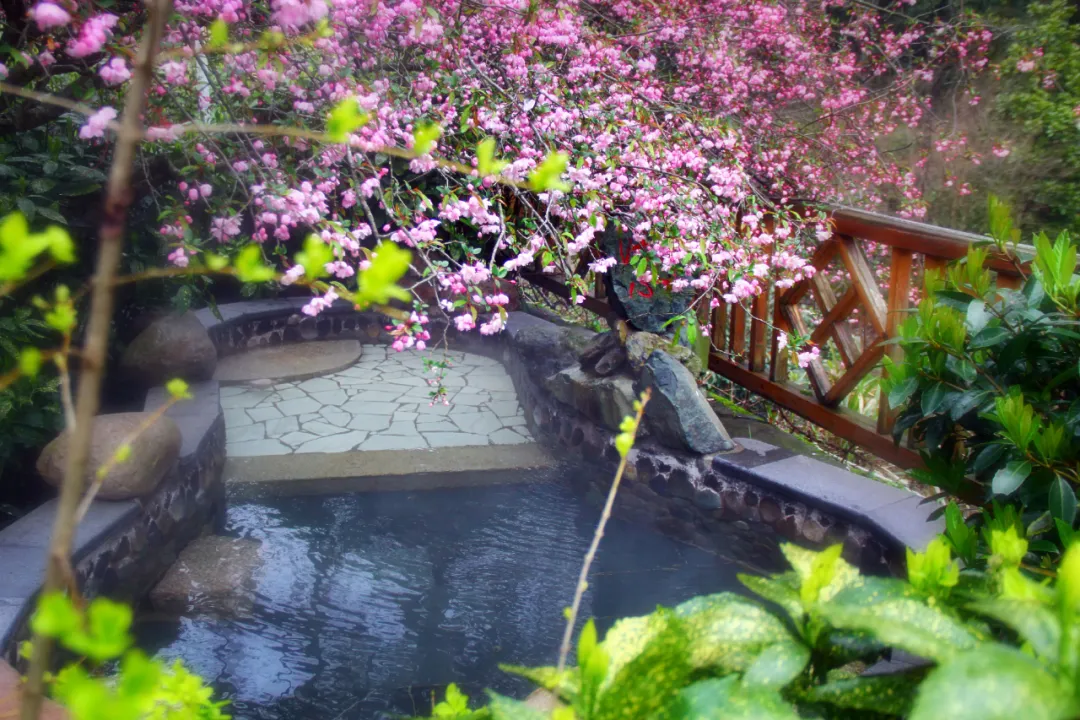 黄山第四绝——温泉