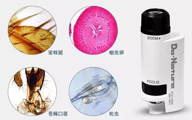揭秘！魔术贴是如何粘住的？用显微镜放大后，明白了其中的原理