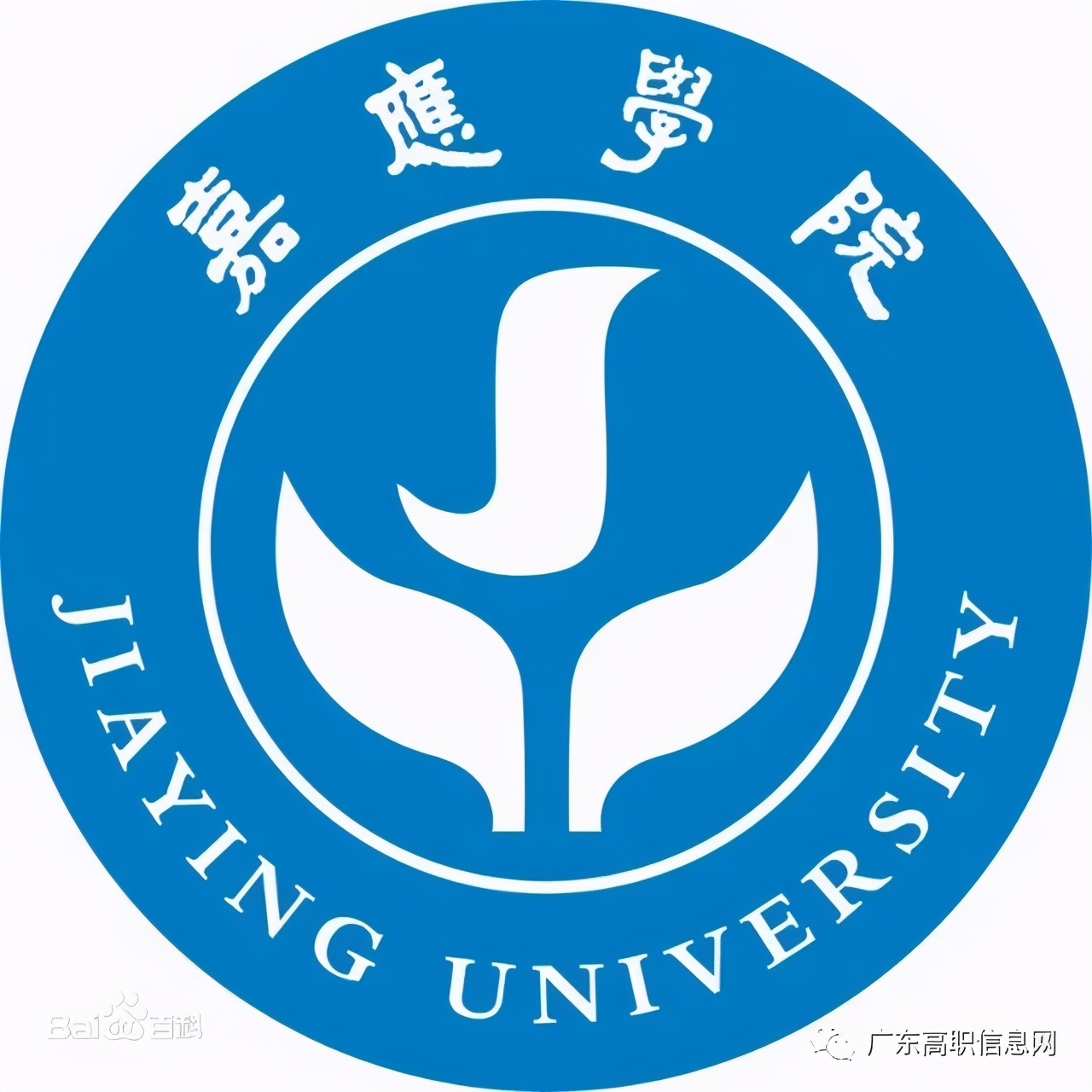 嘉应学院分数线2017（公办本科）