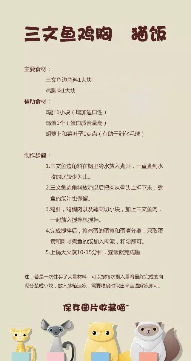2分钟搞定的简易猫饭，比泡面还要简单