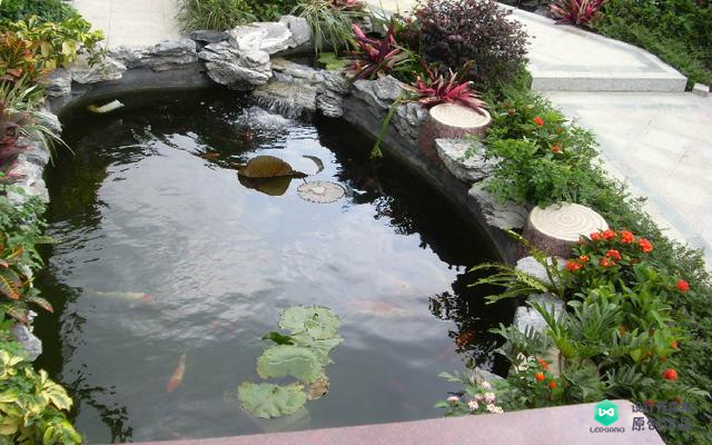 庭院鱼池都有哪些样式庭院鱼池样式图