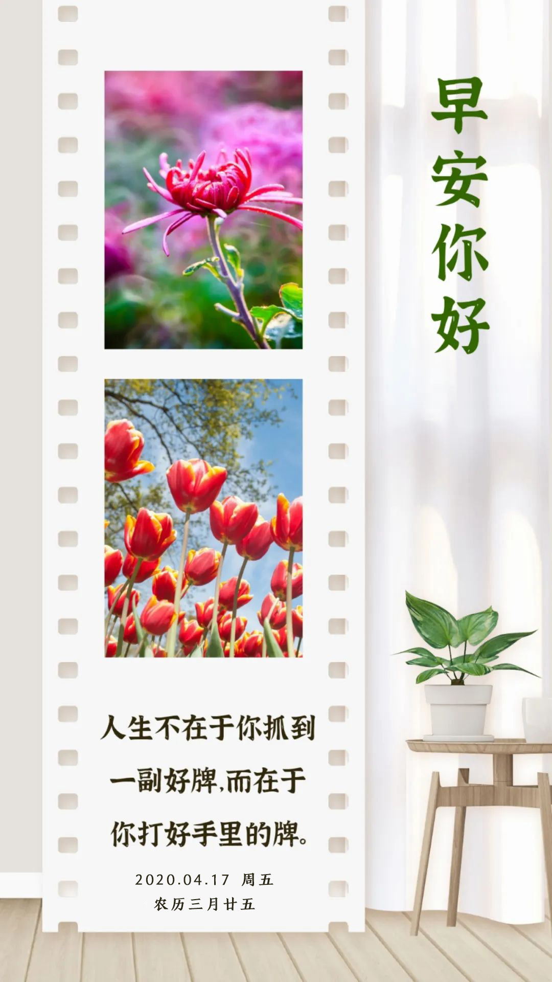 周五早上好正能量阳光日签图片：一定要在你所热爱的世界里，闪闪发光