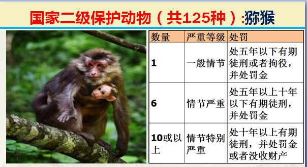 国家保护动物分几个等级（125类二级野生保护名录）