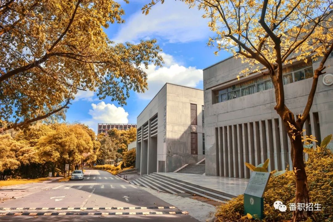 重磅！番职院2020年试点本科招生