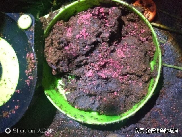 夏季江河夜钓，掌握好定点打窝诱鱼及垂钓技巧，鱼获源源不断！