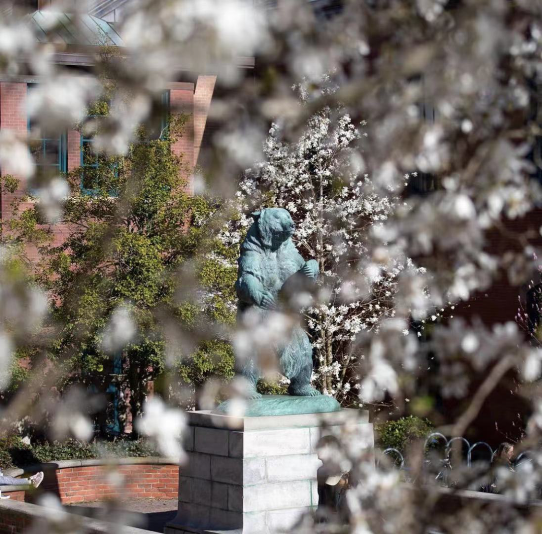 如果你想知道什么是快乐藤校的话，我现在就带你Brown