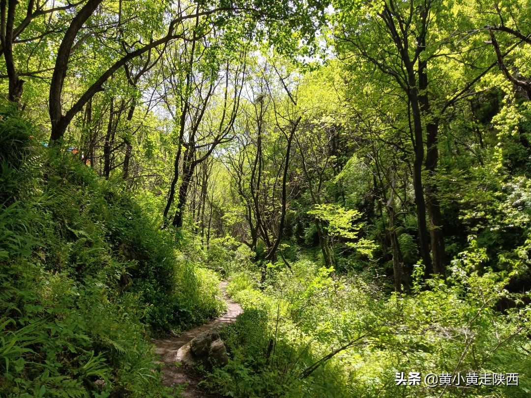 原来这便是秦岭72峪中的白石峪，藏在动物园后面，自驾车能开进山