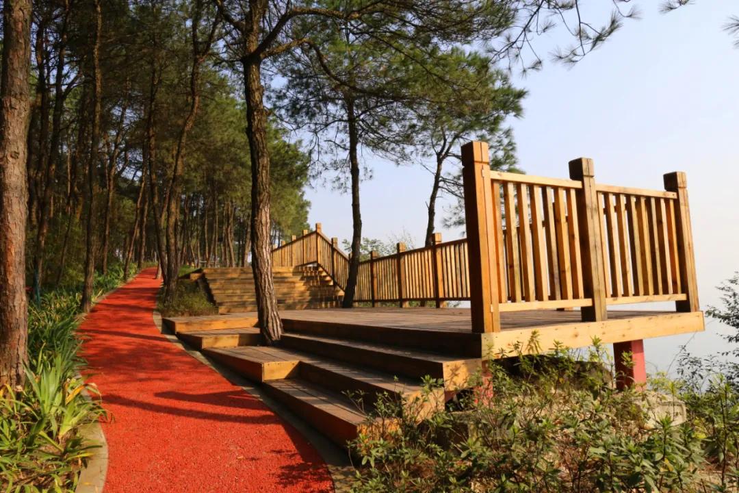 玉峰山森林公园 雪峰山森林公园自驾游-徐拾记官网