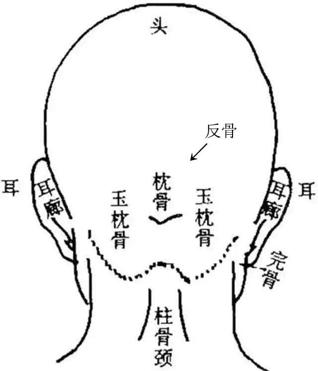 《三国演义》中诸葛亮说魏延脑后有反骨，反骨究竟长啥样？