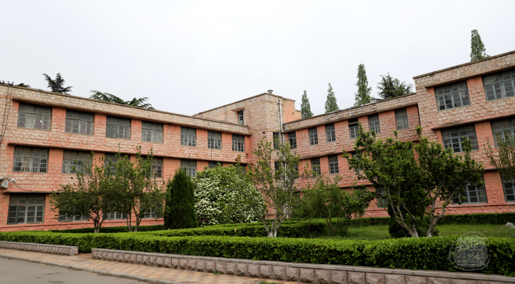 紫藤花开,临沂大学费县校区不是一般的美