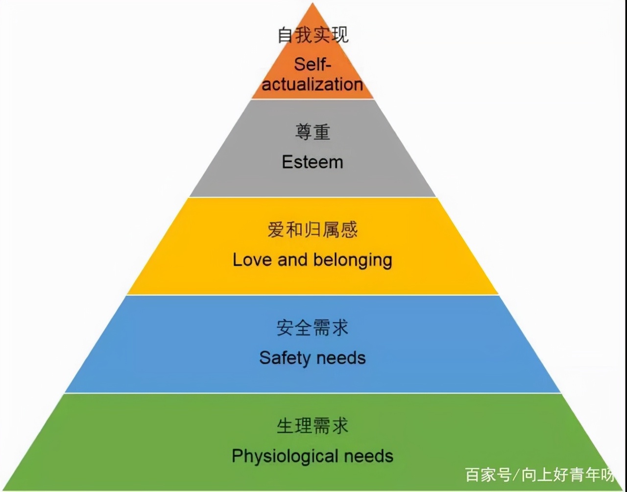 22年考研人数将达到462万？关于考研热的冷思考