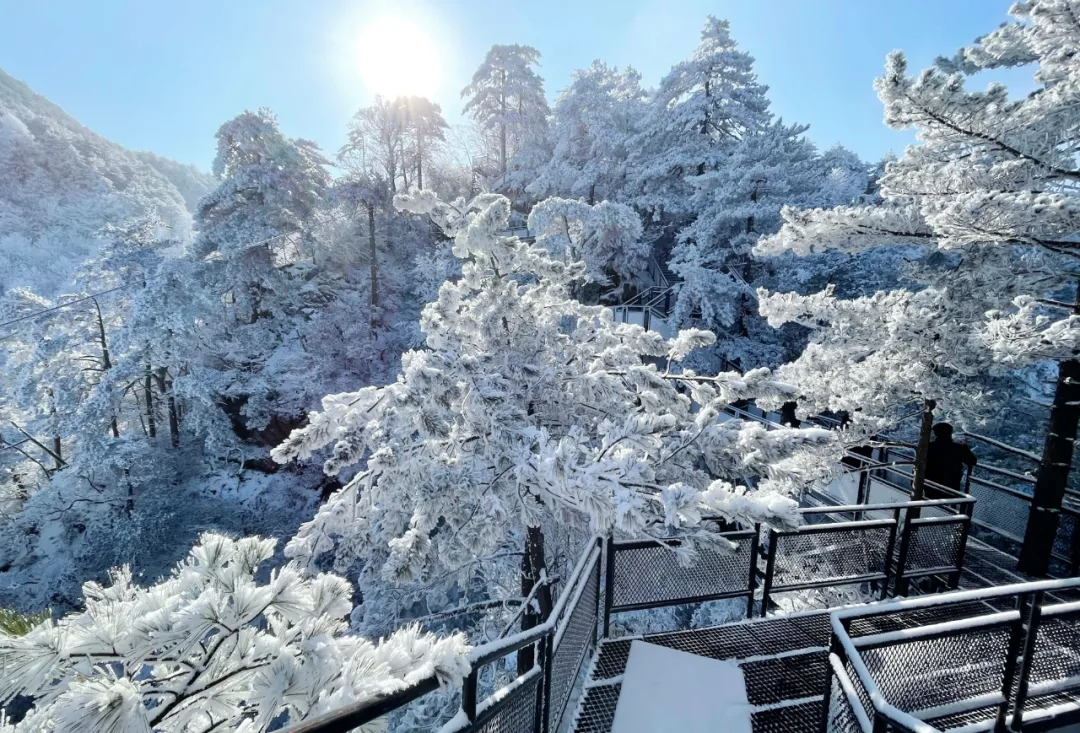 12月杭州哪里可以滑雪(千米高山，十年品牌，临安大明山万松岭滑雪场昨天开滑)