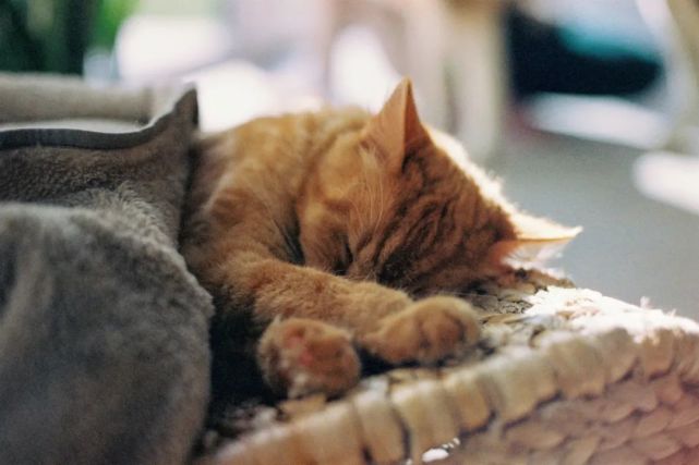 为什么有些人喝了咖啡反倒更困？