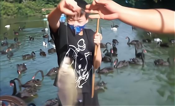 画面好美！全红婵海边捞螃蟹照曝光，网友调侃：又要破纪录了？