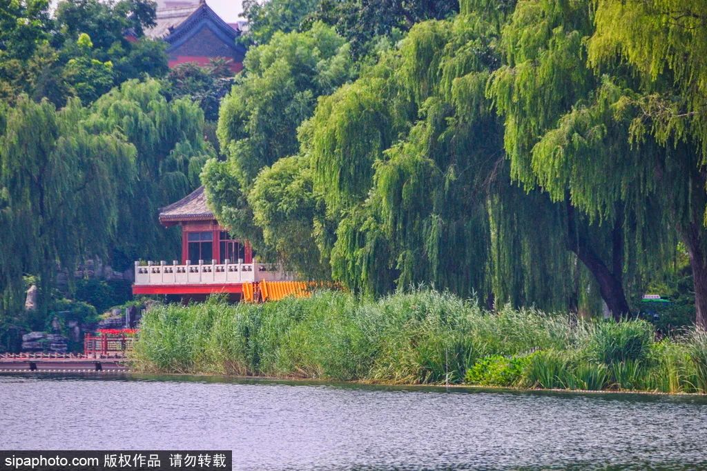 周末去哪玩？北京这些好地方能赏美景、吃美食！还有免门票的！
