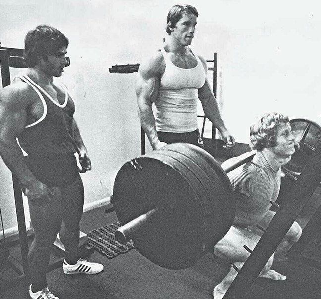 施瓦辛格健身全书6 施瓦辛格千金难买的训练体验