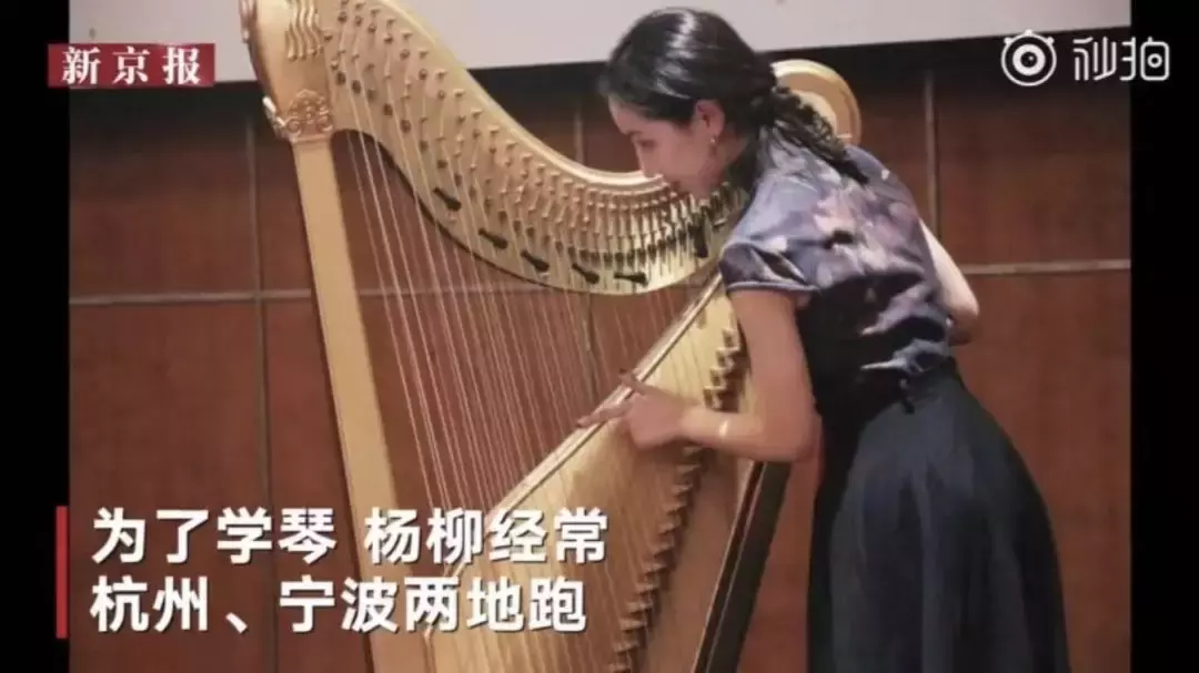 高考艺考冷门乐器（全校仅1人的冷门专业）