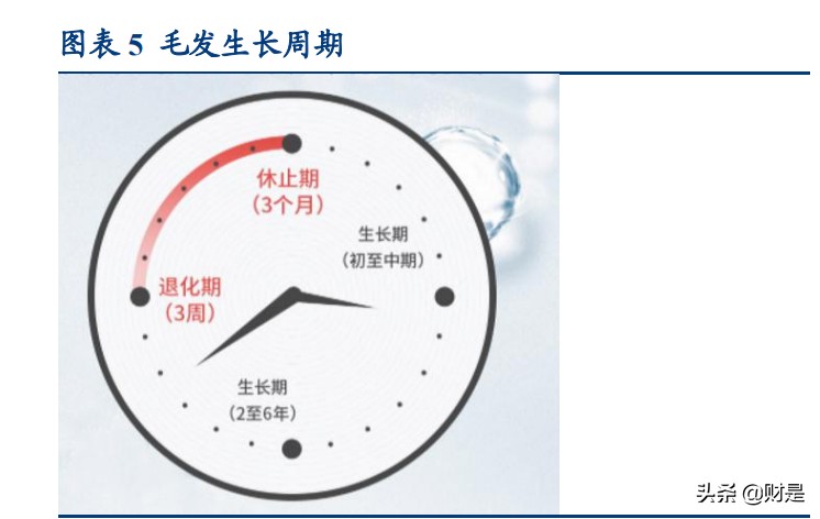 植发医疗行业专题研究报告：“秃”如其来，毛发医疗成长迅速