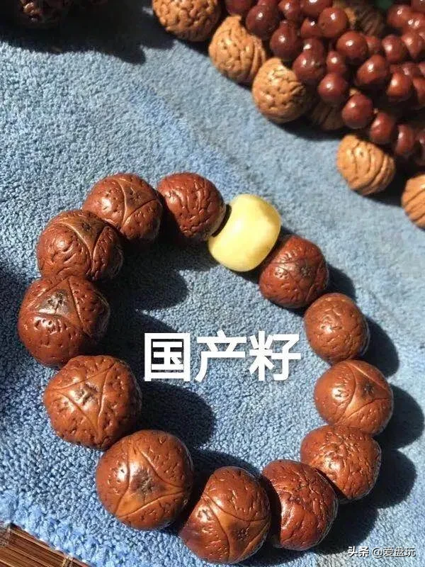 花了四位数,买了串凤眼,有人告诉我这是国产籽