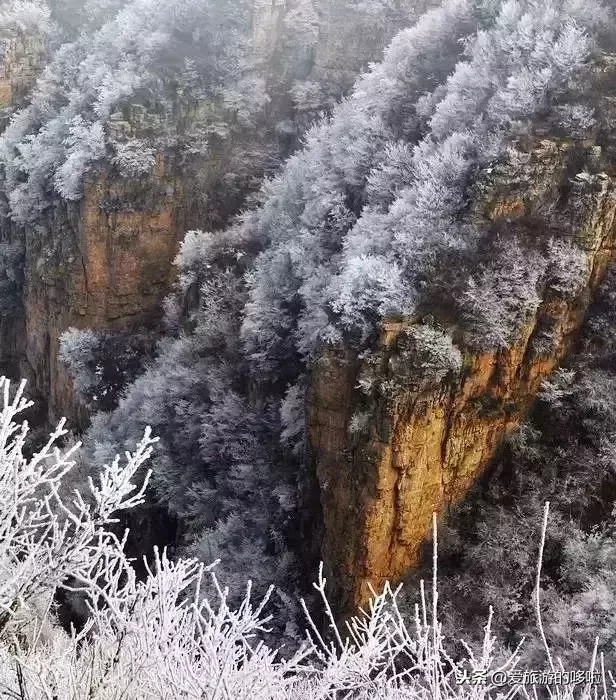 此生一定要去看一次雾凇，美得像仙境！