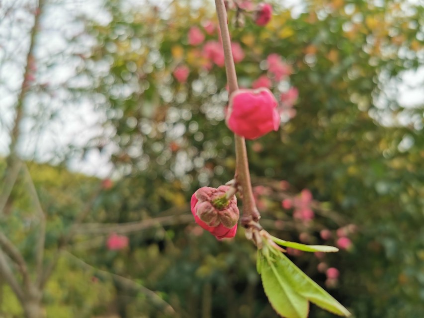 2020高考必备素材 《朗读者》120句精华摘抄，绝佳的高考作文素材