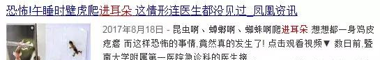 男子骑着电动车 耳朵钻进活飞蛾，知道这招可以急救