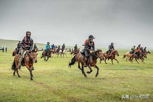 国际马术赛2018(世界十大马术耐力赛，每一个都沿途绝美如画)