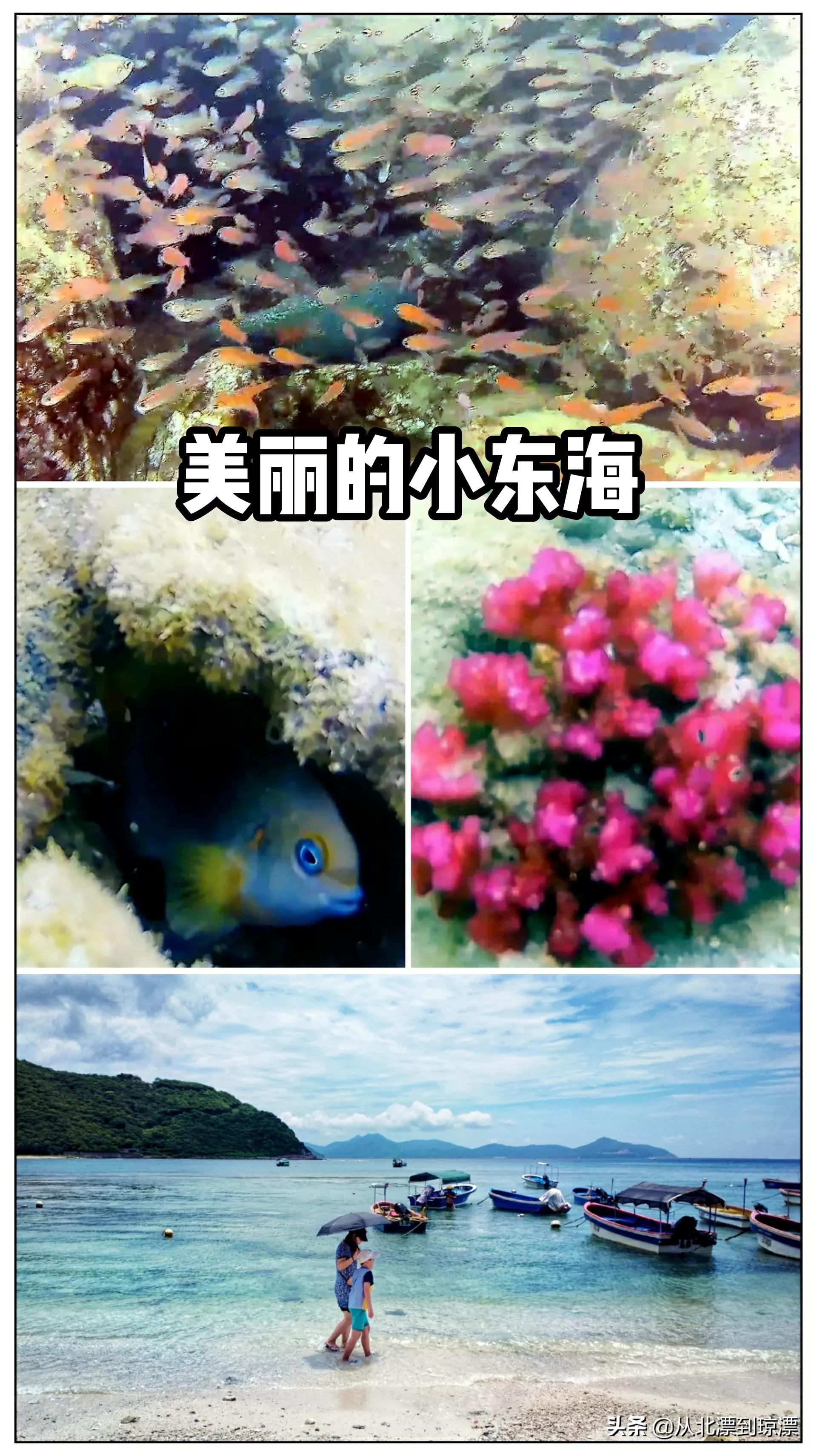 超级好玩！海南10个小众冷门不要门票的旅游景点，琼漂强烈推荐