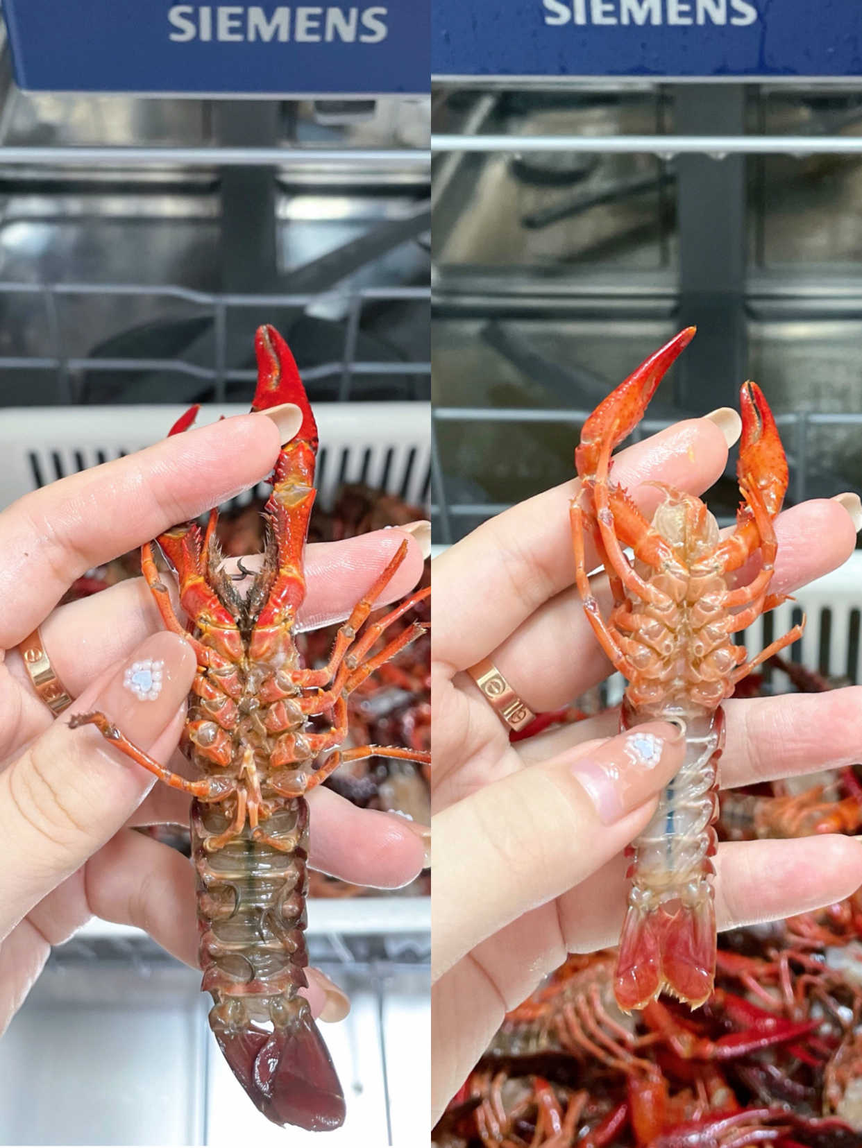这5种厨房新用品，正在悄悄改变我们的生活品质！你家有几样？