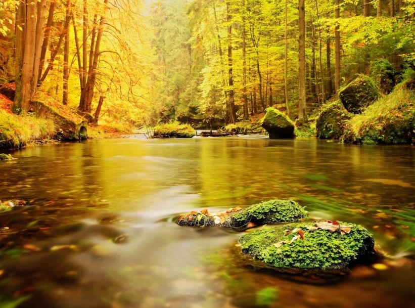 「诗词鉴赏」古诗词里的山中秋色，气象万千，摄人心魄的美丽