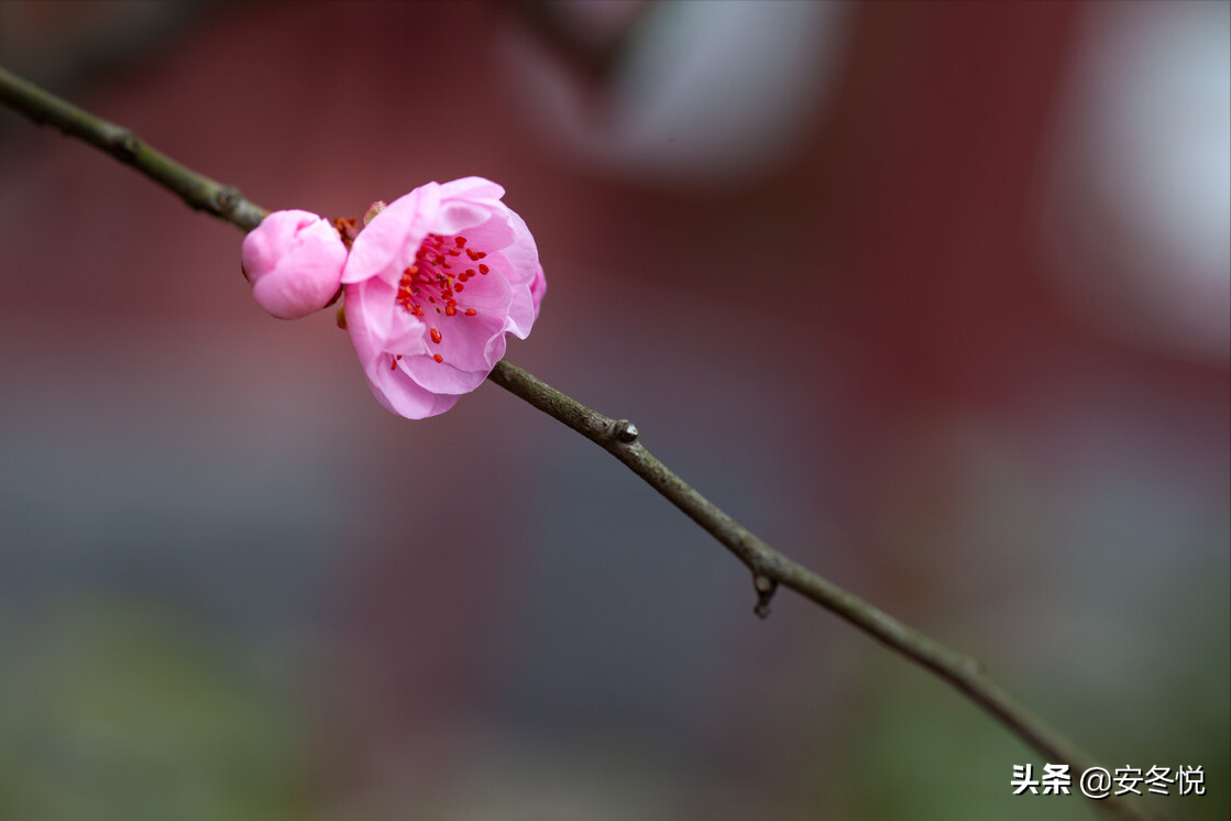 若有一天，我们重逢