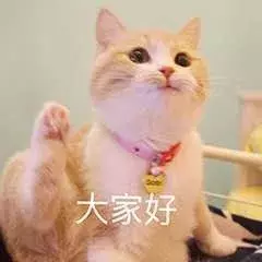 5种超实用PS抠图技巧，轻松搞定复杂图像！