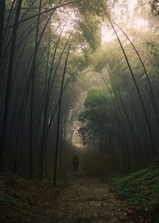 一山一寺一菩提，品读关于山寺的古诗词，体味那浓浓的禅意