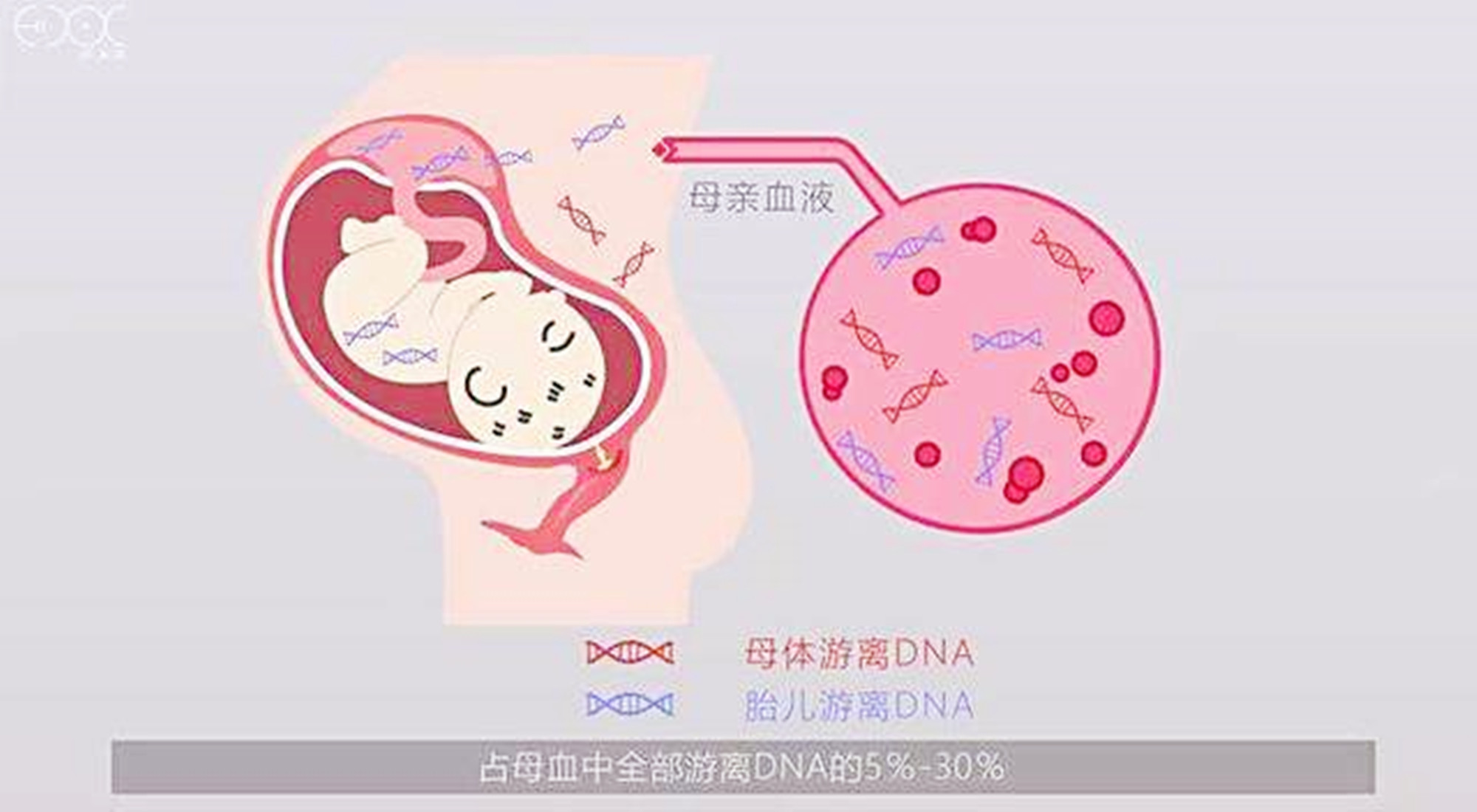 这项检查是为了多收钱？对于无创和羊穿的误解，这次解释清楚了