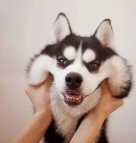 ִȫ ˳ڵİ(qi)Ȯִȫ ˳ڵİ