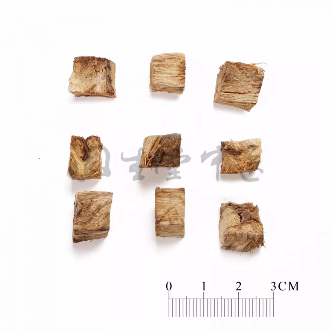 葛根药用价值高，教你如何妙用