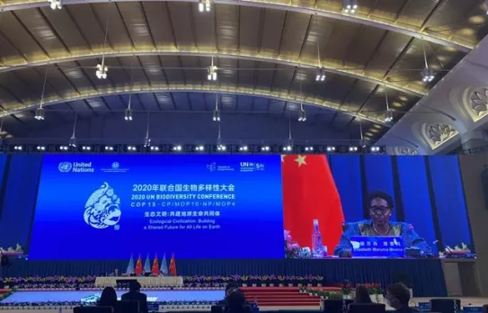 云南的名气食材,名副其实