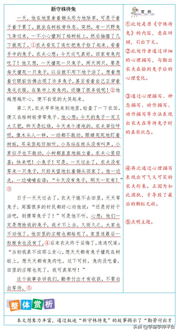 四年级语文同单元作文赏析，好词好句