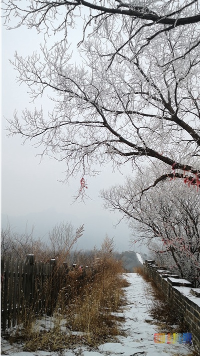 京城这些地方的雪景美轮美奂，值得一看！